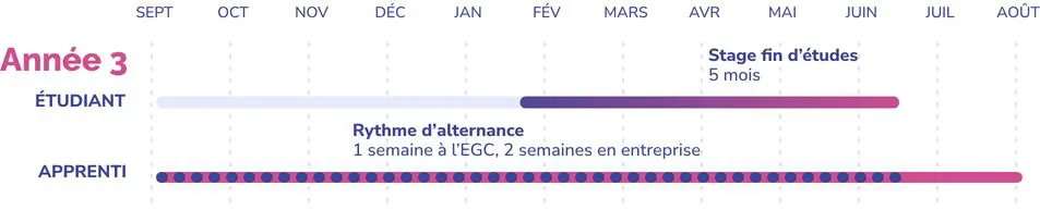 Image par défaut illustrant le propos de la page TROISIÈME ANNÉE EGC Normandie Business school