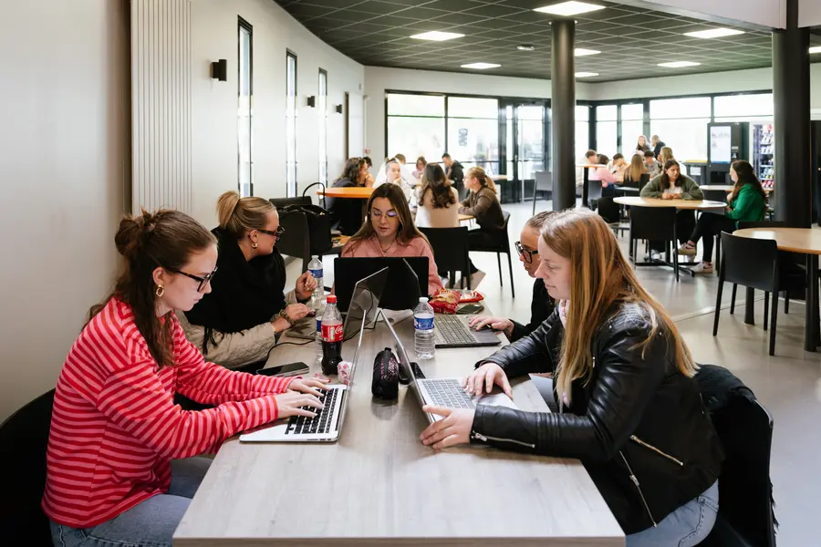 Image par défaut illustrant le propos de la page PREMIÈRE ANNÉE EGC Normandie Business school